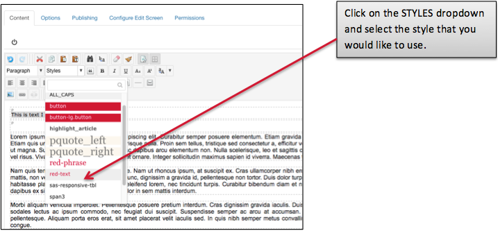 Click the "Styles" dropdown and select the style that you would like to use
