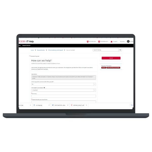 Screen hot of the SAS IT Service Now page