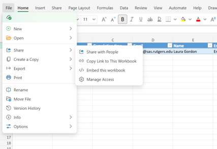 Spreadsheet window with the File menu open, showing sharing options and a row containing an email and name