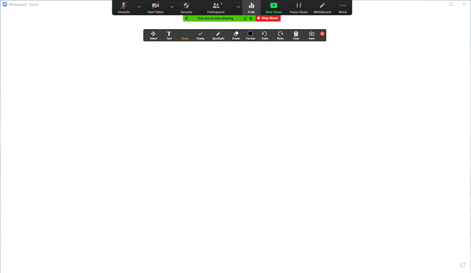 Sharing Virtual Whiteboards through Zoom 04
