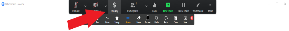Sharing Virtual Whiteboards through Zoom 07