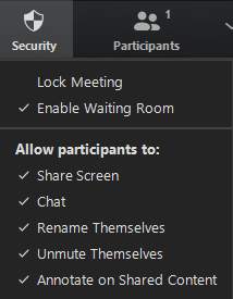 Sharing Virtual Whiteboards through Zoom 08