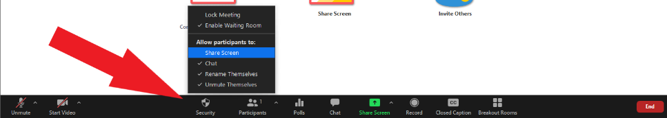 screen sharing in zoom 06