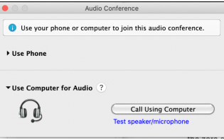 WebEx 01