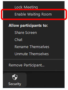 zoom access controls 06