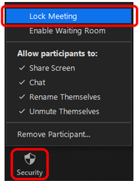 zoom access controls 19