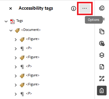 Acrobat: Accessibility "Options" icon