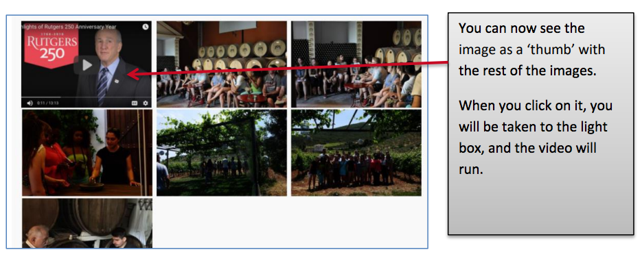 Ignite Gallery: Video image appears in gallery as thumbnail
