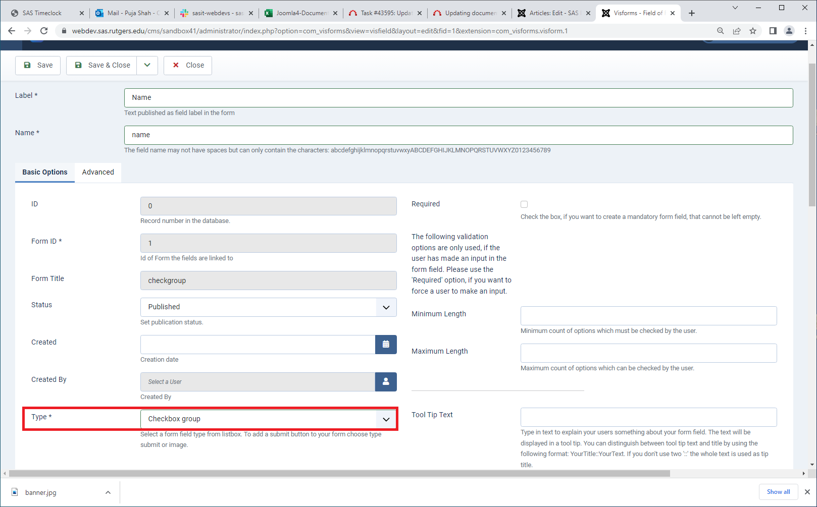 Visforms: Check Box Group