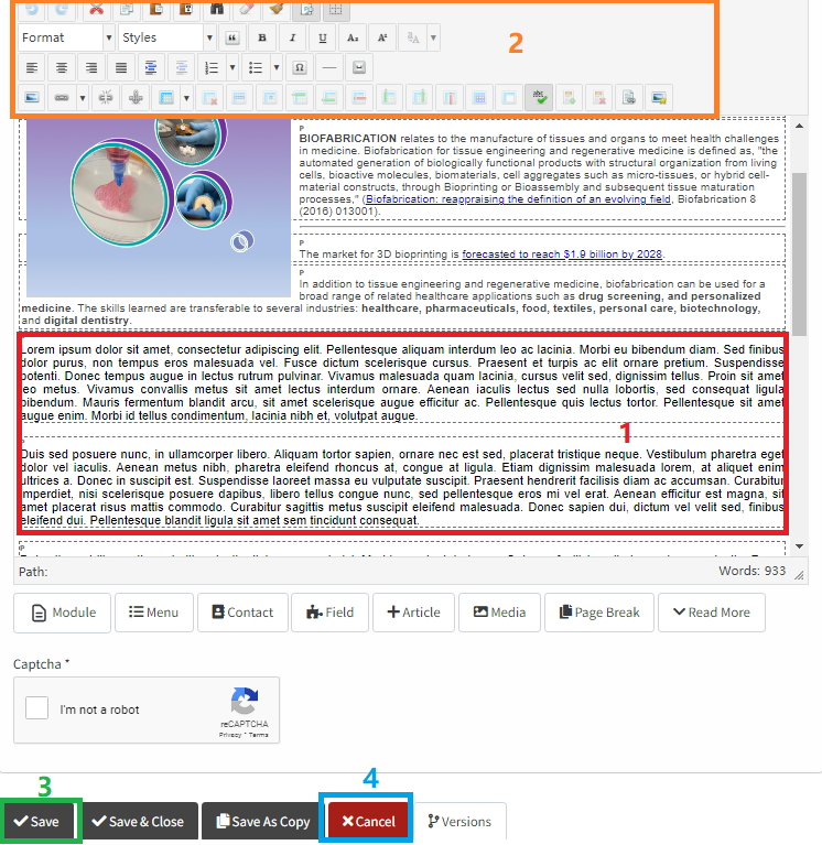 frontend1